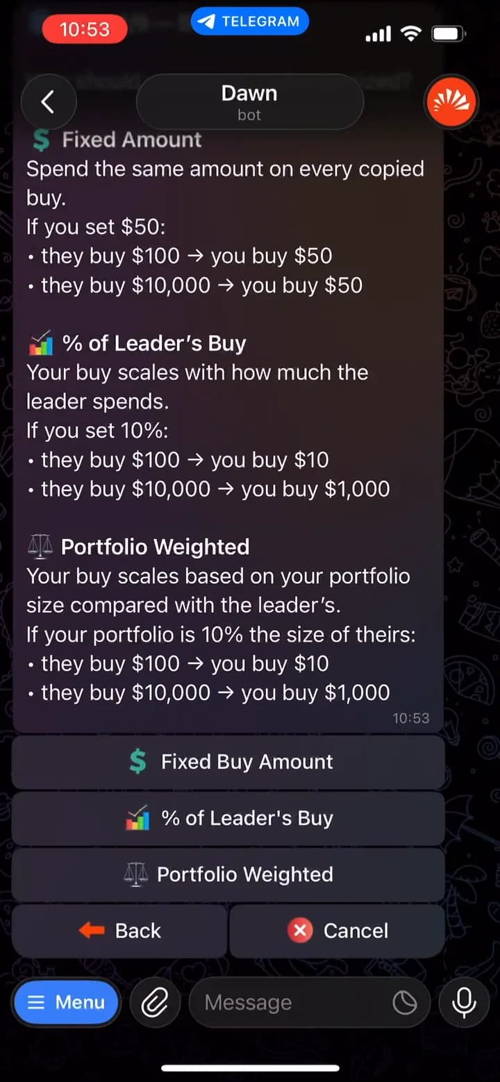 Step 3 of 9 in Dawn explaining Fixed Amount, % of Leader's Buy and Portfolio Weighted sizing with worked examples, and three buttons to pick one
