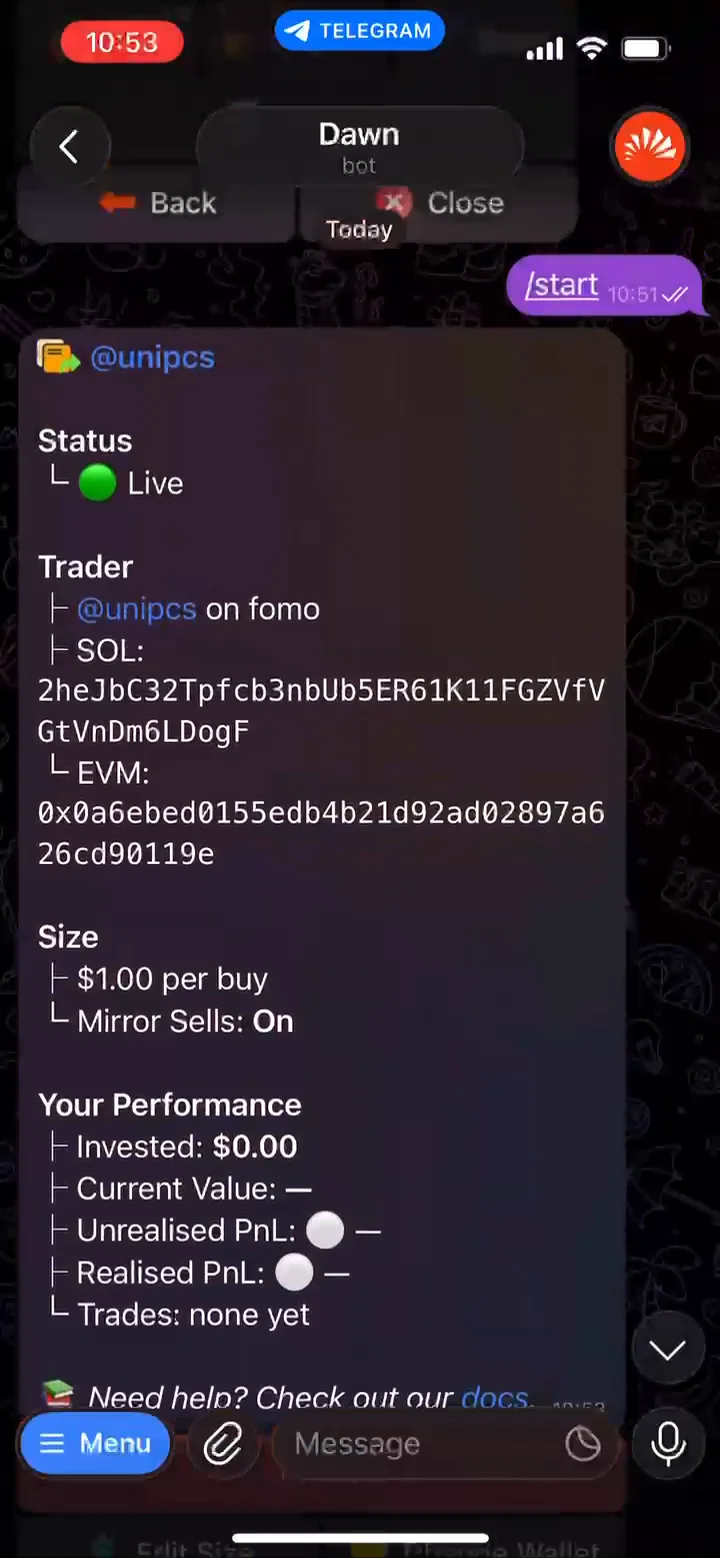 A live copy task page in Dawn showing Status: Live, the trader's Solana and EVM addresses, the task's size and the Your Performance block