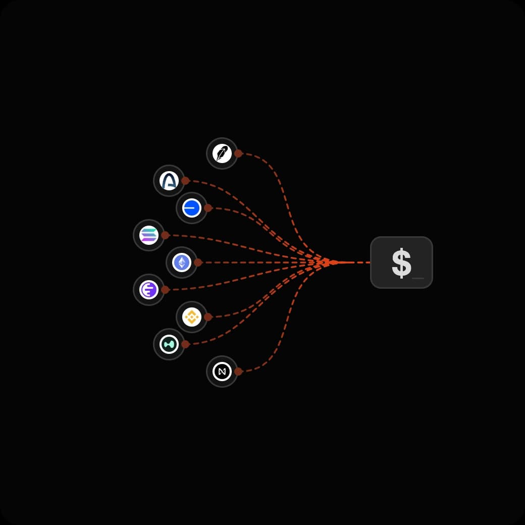 Tokens from nine chains flowing into a single USDC balance